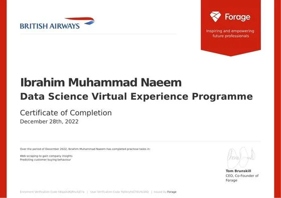 Virtual Internship, British Airways via Forage, 2022