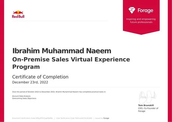 Virtual Internship, Red Bull via Forage, 2022